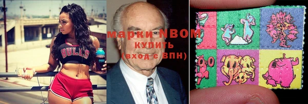 дмт Тавда