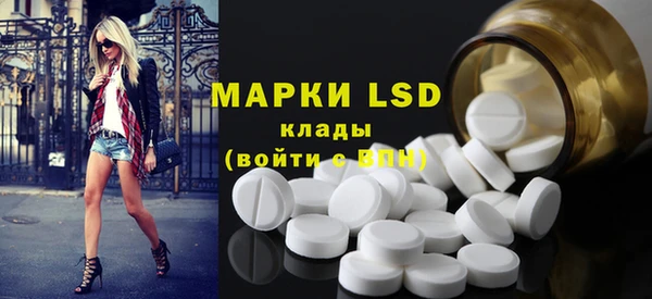 дмт Тавда