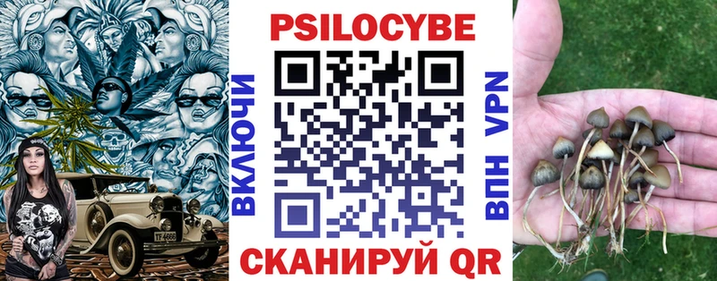 купить наркотики цена  кракен вход  Галлюциногенные грибы Cubensis  Красный Кут 